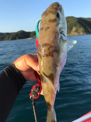 マイボートではじめてのポイントへ