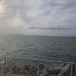 旬間近のかわはぎ釣り