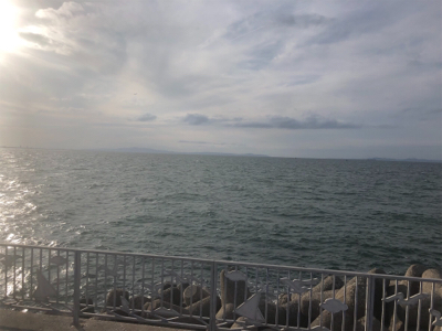 旬間近のかわはぎ釣り