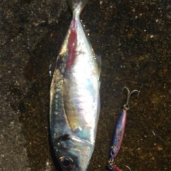 いまいち伸びない