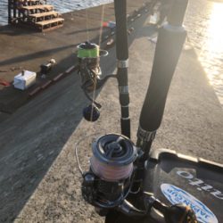 台風前の荒食い狙って…リベンジ編