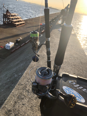 台風前の荒食い狙って…リベンジ編