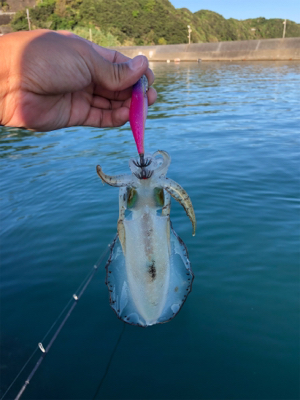 なんも釣れん。