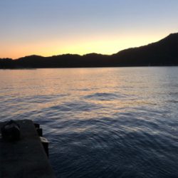 前回のリベンジ