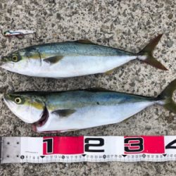 台風前になんとか。。