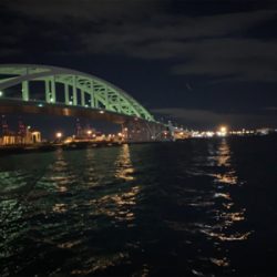 舞洲でタチウオ!