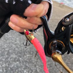 台風後は調子良かったです