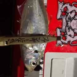 アジング練習 38