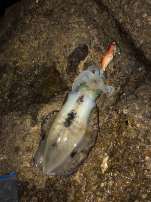 台風前に女神に逢いに♡