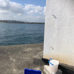 坂ノ市一文字でショアジギ