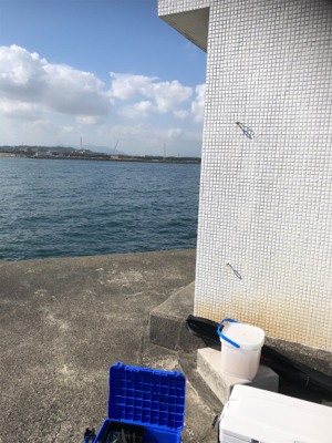 坂ノ市一文字でショアジギ