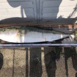 水軒1文字でブリ