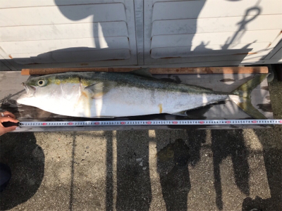 水軒1文字でブリ