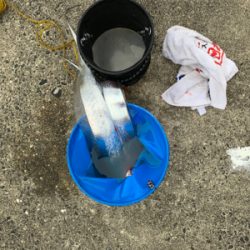 台風明けの太刀魚釣行