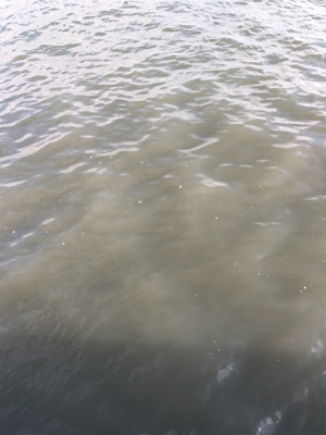 濁りがキツイ中　なんとか1本