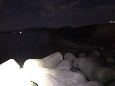 25cmガシラ！！ですが胸糞の悪い釣行でした！