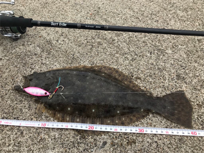 秋ヒラメを狙え！西積丹