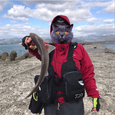 ヒラメを求めて☆西積丹☆五目釣り