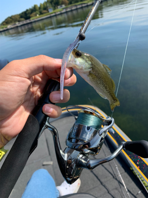 パンチショットやTOP、I字形など