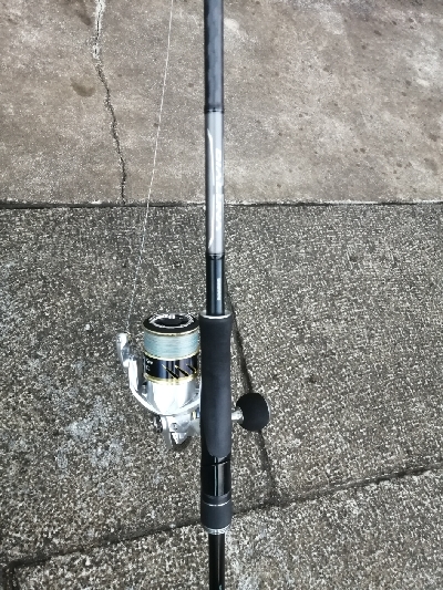 久しぶりのハマチ