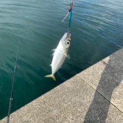 沖堤防でショアジギング