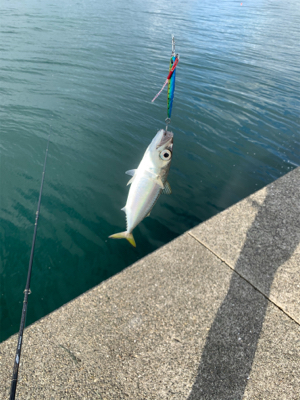 沖堤防でショアジギング