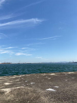 青物はいい感じだがムラありかな