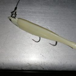 太刀魚リベンジ