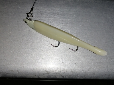 太刀魚リベンジ