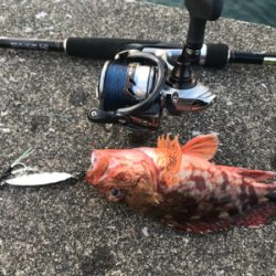 満月アジング…