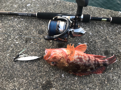 満月アジング…