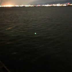 ウキ釣りと引き釣り