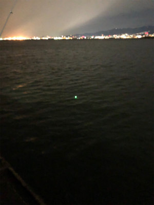 ウキ釣りと引き釣り