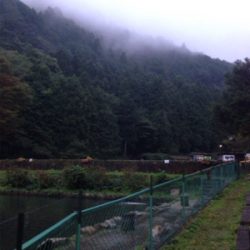 大雨は吉とでるか凶とでるか！？