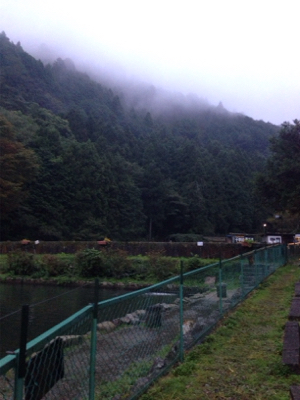 大雨は吉とでるか凶とでるか！？