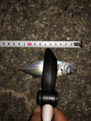 仕事帰りアジング♫