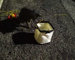 アジング練習 40