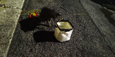 アジング練習 40