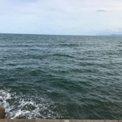 やっぱりショアジギングは面白いっ！