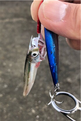 超絶やらかしました、、、