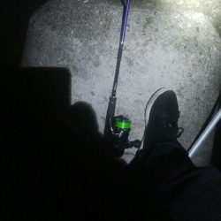 アオリイカ4杯 バラシ2杯！