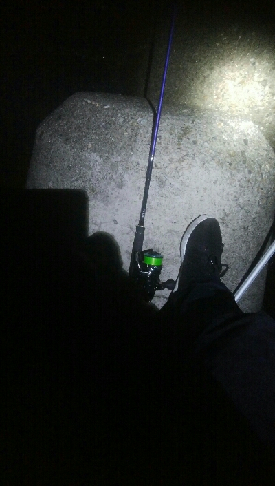 アオリイカ4杯 バラシ2杯！