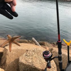 久しぶりに夫婦でキス釣り(^｡^)