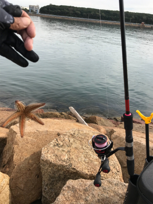 久しぶりに夫婦でキス釣り(^｡^)
