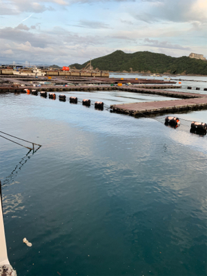 じゃのひれフィッシングパークにて