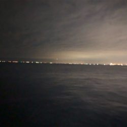 ナイト干潟ゲーム