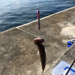 一文字でエソ祭り