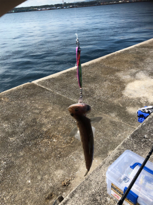 一文字でエソ祭り