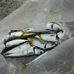 お隣さんに感謝