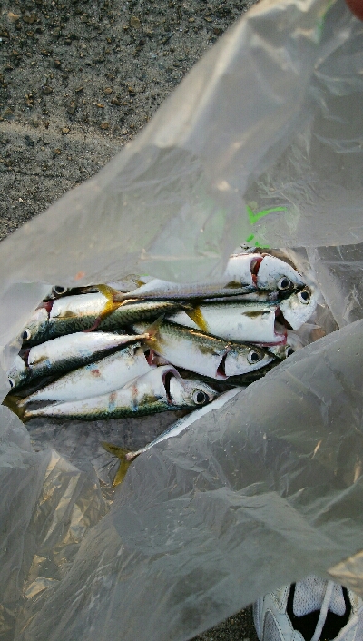 お隣さんに感謝